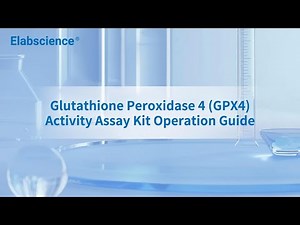 Glutathione Peroxidase 4 GPX4 Activity Assay Kit Operation Guide
