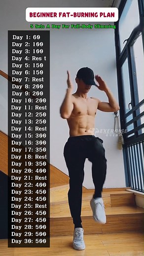 Beginner Fat Burning Plan | Exercise Guide