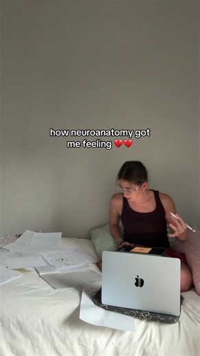 The Dark Hole of Neuroanatomy