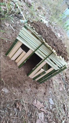 How to Make a Tiny Bamboo House DIY #diy #shorts