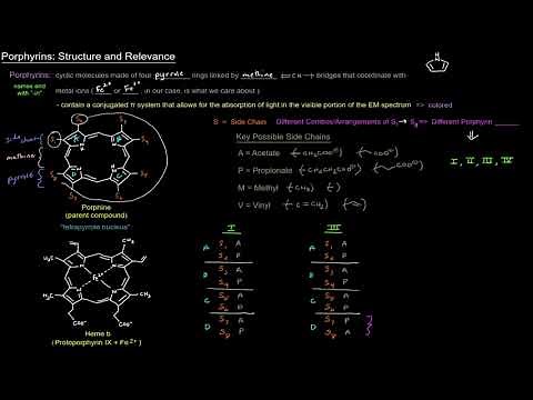 Heme and its Metabolism: Porphyrins - Structure and Relevance [free sample]