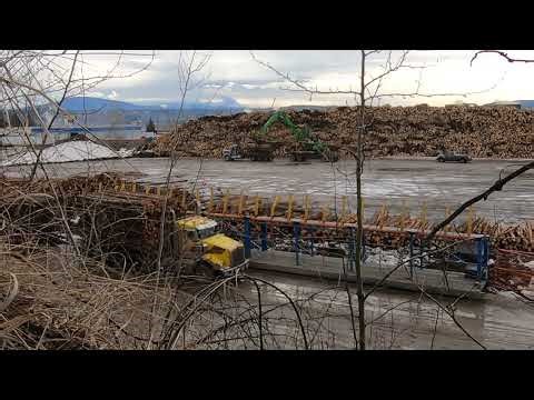 Stacking Logs of Timber