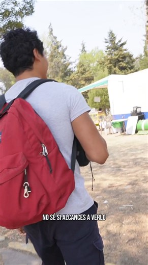 837K views · 73K reactions | Me encantó trabajar con esta mini Michi 凉❤️ | ElFotografo DeMascotas | Facebook