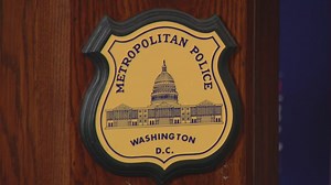 2 dogs dead after being electrocuted in Northwest DC: police