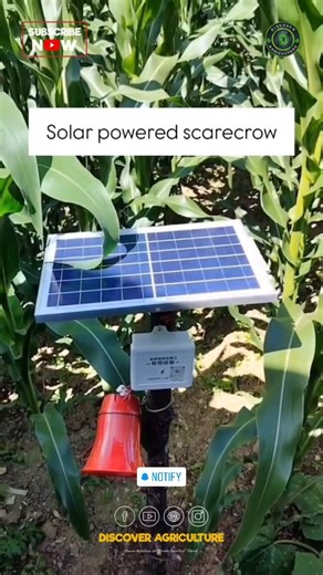 Watch in awe as a clever farmer showcases their innovative creation - a solar-operated scarecrow equipped with sensors, revolutionizing farming practices. This groundbreaking technology merges agriculture with advanced engineering, promising efficiency and cost-effectiveness. Experience firsthand how this automated scarecrow performs its duties tirelessly, guarding the fields against pesky critters. Join us on a journey through the farm of the future, where cutting-edge solutions like these are 