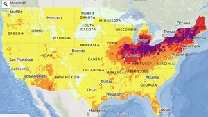 Stay cool and save: Easy tips to beat the heat and lower energy bills