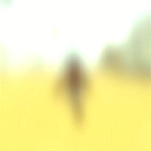 All 5 Codes Locations in Dead Rails