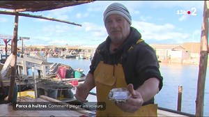 396K views · 9.2K reactions | Comment se protéger des vols d'huîtres quand on est ostréiculteur ? L'un d'entre eux semble avoir trouvé la solution en piégeant ses huîtres ... ▶#13H | Le 20h – France Télévisions | Facebook
