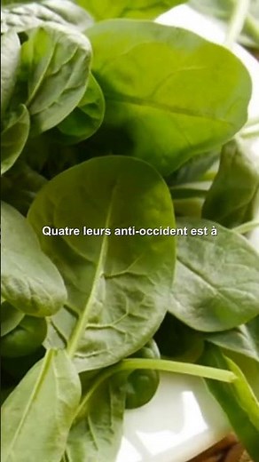 10 raisons de consommer des épinards dès aujourd'hui #épinard