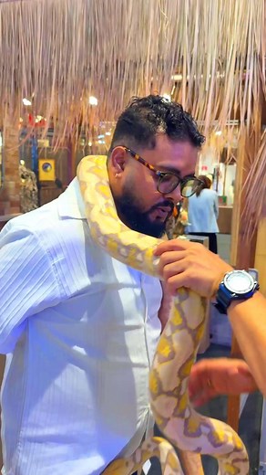 Nice experience #bangkok #Terminal21Rama3 #pythonsnake #indian #pattaya #up #comady #gorakhpuriya #bojpuri #viralreelsシ2025 #highlight #goodmorning #niceexperience #superhit #superstar | Chandan Tiwari