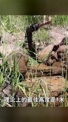 水錘泵是怎樣做到的？不用電油，它通過什么原理讓水往上升？ #交通科技 #飞机科普 #高铁知识 #军事科技 #工程奇迹