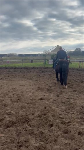 Puledra Percheron da Tiro Pesante...in Doma 2 anni..BeautyRanch in Sella🤩😍Come on 🐴🐎🤟 | Beauty Ranch