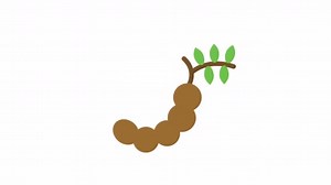 Tamarind Fruits Animated Icon Transparent Background
