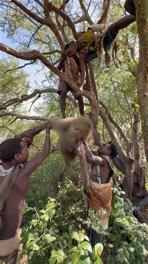 Wow🌿🏹🦍💪🔥😜 #africa #animallife #wildlife #animals #nature #cooking