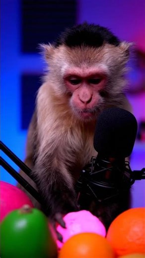 ASMR luminoso con un toque único 🌈🍊