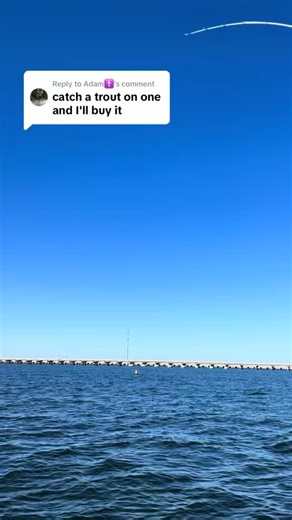 Speed clips are perfect for freshwater or saltwater fishing, no matter the species! #freshwaterfishing #saltwaterfishing #inshore #offshore #fishing | Topwater Co