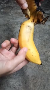 banana peel | Processing, grinding and blending #bananapeel #processing #grinding #blending #turmeric #bananapeeloil #softenshair | Nayona Tips