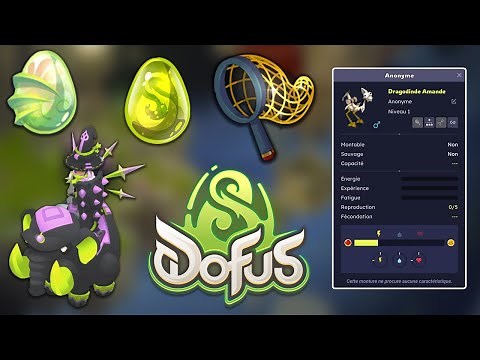 DOFUS ADVENTURE 3: BREEDING, KALIPTUS & EMERALD (DAY 10)