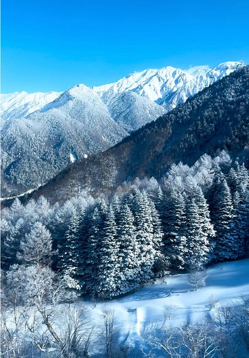 ❄️Breathtaking views of the Northern Japan Alps, particularly the Hotaka Mountain Range from the Shin-Hotaka Ropeway. 🚠 🤍 . . . #shinhotakaropeway #nagano #takayama #japannorthernalps #alps #mountain #mountainview #mountainlovers #mountainlove #nature #snowmountain #japanmountain #japantravel #japantrip #visitjapan #explorejapan #discoverjapan #japantourism #japangram #beautifuldestinations #wonderful_places #earth #voyage #amazingplaces #travelgram #travelinspiration