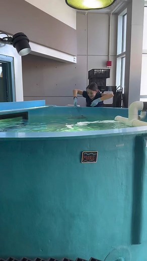 Life As A Marine Biologist