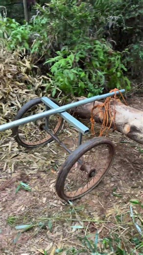 Real Examples of Lever Principle in Work: Learn How It Works