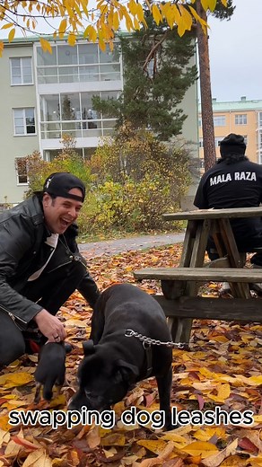 swapping dog leashes #prank🤣🤣🤣 | Julien Magic