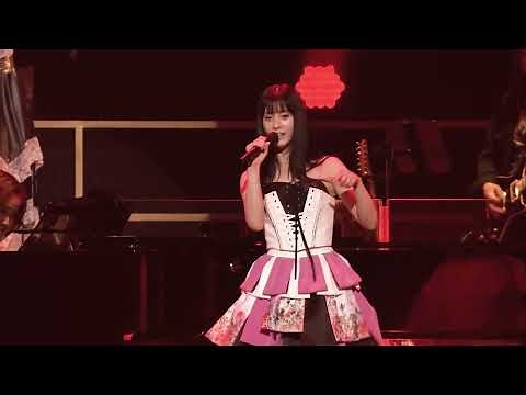 「Magia [quattro] 」from 30th Anniversary Yuki Kajiura LIVE vol.#19 ～Kaji Fes.2023～