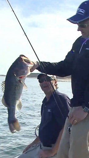 LAKE AMISTAD GIANT!!! Check out this old Lake Amistad STUD largemouth caught by professional angler Mike McClelland over 10 years ago. #TeamOutdoors #BassProShops #RangerBoats #SPRO #SPROUSA #Fishing #BassFishing #FishCatch | Fisherman's Handbook