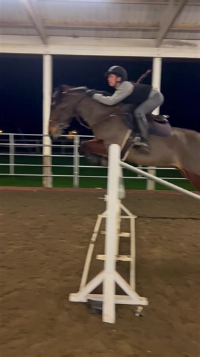 Build Consistency with Our Horse Leasing Program