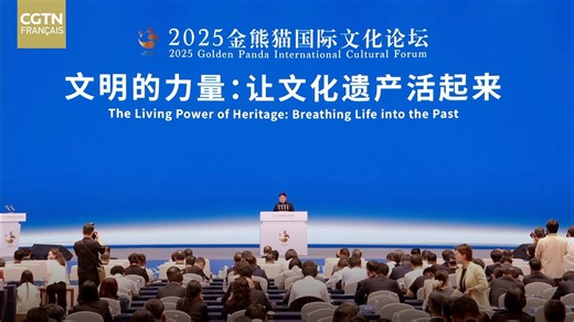 Le Forum culturel international "Panda d'or" 2025 a débuté samedi matin à Chengdu, dans la province du Sichuan (sud-ouest de la Chine). Intitulé « Harmonie dans la diversité, avenir dans l'unité », ce forum réunit des invités chinois et étrangers pour échanger des idées et partager leurs opinions. Shan Jixiang, directeur du Comité académique du Musée du Palais, partage sa vision de la conservation du patrimoine culturel en Chine. #2025GoldenPandaAwards #GoldenPandaAwards #CgtnFDigital | CGTN Fra