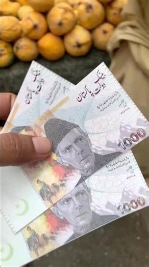 New Pakistani Currency Notes 2026 | Everything You Need to Know