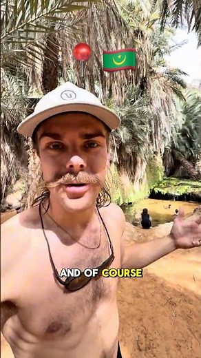 Terjit Oasis in Mauritania is one of the coolest places I’ve been 🇲🇷😮 #mauritania #travel