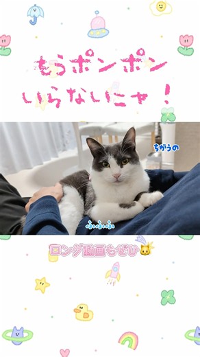 猫の「ポンポンいらない！」の合図😂