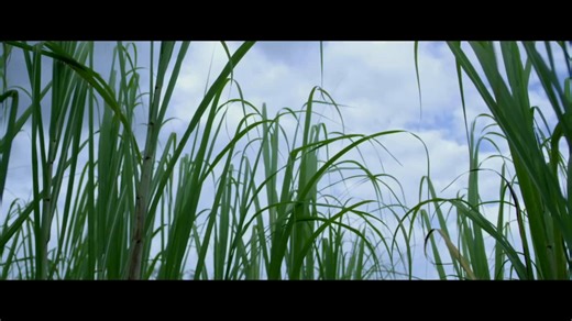 The Siddi community’s rhythms, rituals, and history come alive in Rhythm of Dammam — the story of a 12-year-old boy who begins slipping between dreams, memory, and spirit after the death of his grandfather. Through the power of traditional Dammam music, he uncovers his ancestors’ journey and the weight of their history. See this powerful, rarely told story this Sunday at 2 PM at AFS Cinema, followed by an in-person Q&A with director Jayan Cherian. 🎟️ Get Tickets Here: https://bit.ly/rhythm-of-d