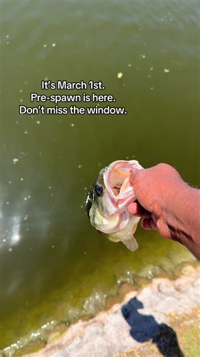 Pre-Spawn Bass Fishing Tips for Spring