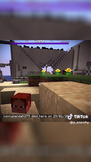 P-Anarchy.com on TikTok