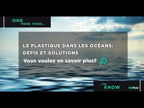 Le défi du plastique dans les océans et les solutions possibles | NAECO