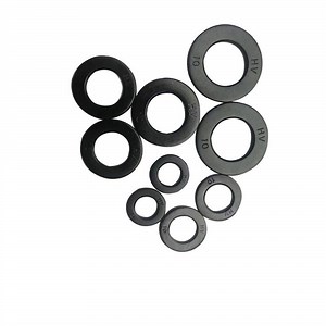 [Hot Item] BS En 14399 DIN6916 Grade 10 Black Structural Flat Washers