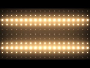 VJ Flashing Lights Spotlight Stage Wall of Lights 4k Ultra HD motion graphic Footage Background