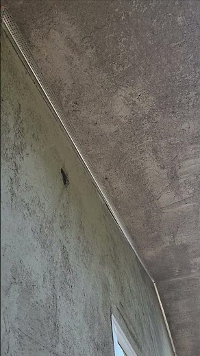 2" wide continuous soffit vents are installed under the eave to allow ventilation in the attic.