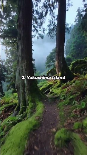 Japan's best hidden gems 🇯🇵