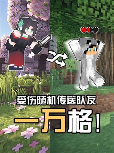受伤随机把对方传送1万格 #我的世界 #我的世界生存 #minecraftsurvival #Minecraft