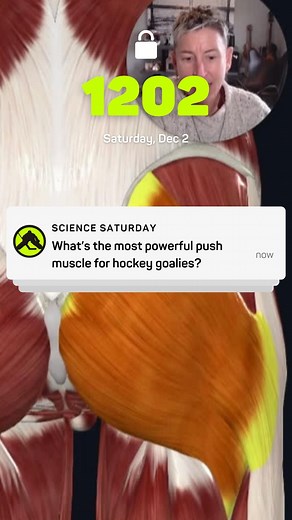 🔬 Science Saturday: Looking at the LARGEST and heaviest muscle in the body - the Gluteus Maximus 🏒 🔍 Origin: Arises from the dorsal ilium, sacrum, and coccyx - and has an attachment to the thoracolumbar fascia 🦵 Insertion: Inserts into the gluteal tuberosity on the femur and iliotibial tract. 🪖 Function: Primary extensor of the hip, but contributes to external rotation and abduction of the hip critical in lateral movements and powerful strides. The Glute Max is also essential for maintainin