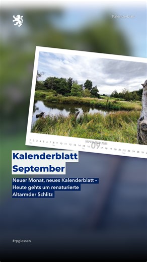 Ein neuer Lebensraum entsteht… 🐟🪻🦋 Eisvögel, Frösche und Libellen könnten an dem renaturierten Schlitz bald ein neues Zuhause finden. Mit dem Projekt setzt Hessen die EU-Wasserrahmenrichtlinie um: Ziel ist ein naturnaher Zustand unserer Gewässer – für mehr Artenvielfalt, bessere Wasserqualität und echten Naturschutz. Das Regierungspräsidium Gießen hat die Renaturierung fachlich begleitet, von der ersten Planung bis zur Umsetzung. Dank Totholz, Steilufern und Amphibienteich gibt es nun neue Rü