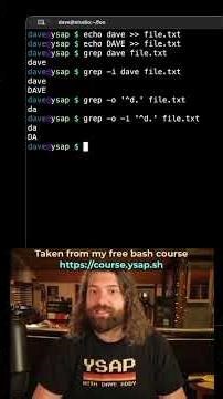 Grep Flags: i and o Examples