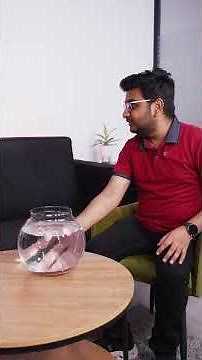 Underwater Live Stream Testing