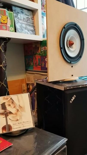 210306-My first DIY full range open baffle speaker test sound