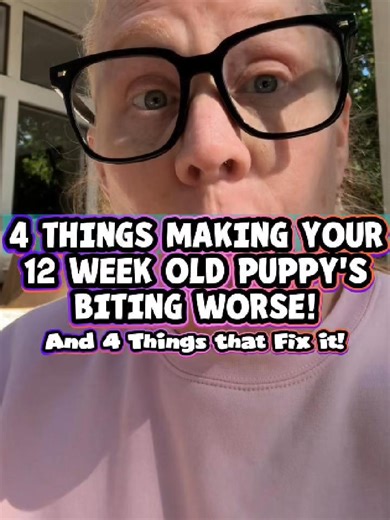 If your 12-week-old puppy is biting, it’s not random—it’s usually a combination of a few things happening throughout the day. 🌞🐾 At this stage, what you do matters a lot. The biggest causes of puppy biting: ➡️ Playing without structure or impulse control ➡️ Reacting incorrectly to biting ➡️ Keeping your puppy awake too long ➡️ Not teaching calm interaction Most puppies are overtired, overstimulated, and don’t know how to regulate yet—which leads straight to biting. 🤪🫩 ➡️ 🦈 Fix those 4 thing