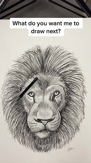 Step-by-Step Lion Drawing Tutorial | Artist TikTok Tutorial