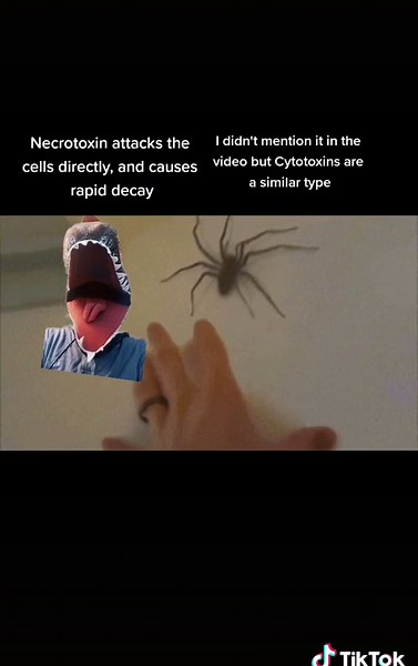 Understanding Animal Venom: Types and Effects Explained